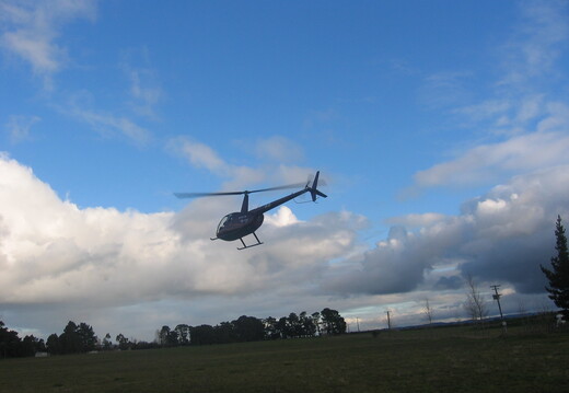 2012-11-04-Northwood-Fair