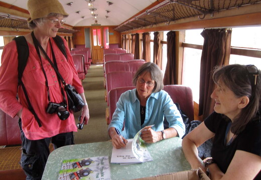 Book-Trouble-On-The-Tracks