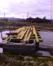 IMAGE_00042