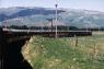 19_3km