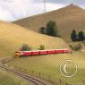 2025-03-23 Steam Inv Visit- Waikari Express